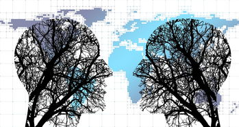 九游体育下载-体育新闻中心协同多方建立体育内容风控机制，体育新闻机构