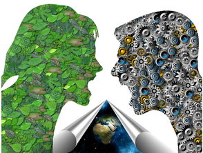 九游娱乐app-基层足球发展如何打破资源壁垒,足球如何突破 第3张